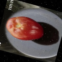Dataset Image