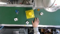 Dataset Image