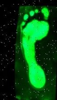 faria project thumbnail