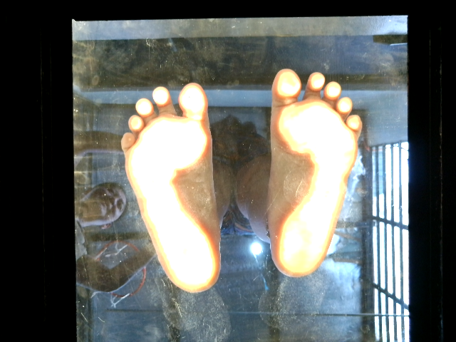 Foot SoleDetection Object Detection Model by Daniel
