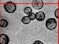 Cell Counting project thumbnail