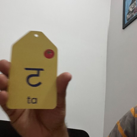 Hindi Flashcards Object Detection Dataset by Todpoles