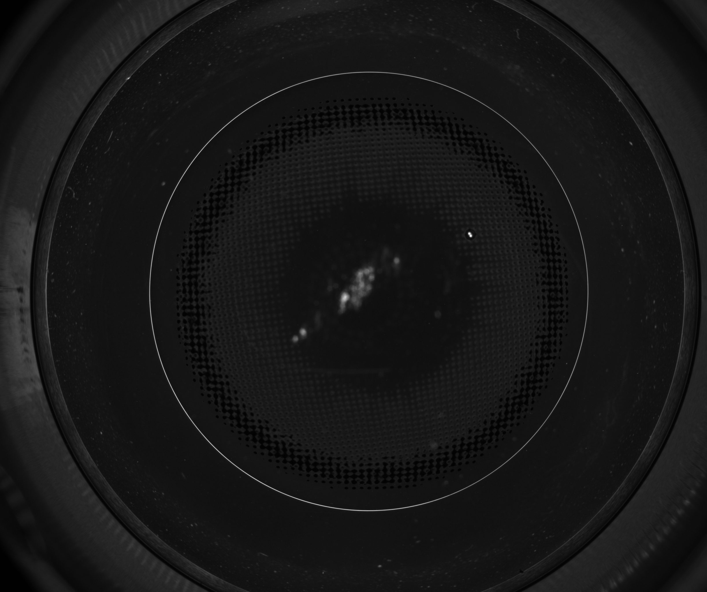 Bubble Dataset Object Detection Model by Deakin