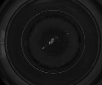 Bubble Dataset project thumbnail