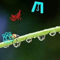 My First Project project thumbnail