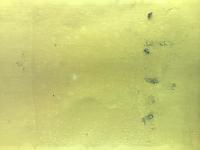 XiaoChong project thumbnail