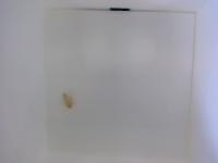 grains_segmentation project thumbnail
