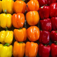 Tomatoes2 project thumbnail