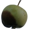 Fruits&Vegetables project thumbnail