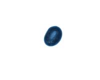 beans project thumbnail