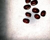 adzuki beans 2 project thumbnail