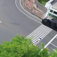 PEDESTRIAN project thumbnail