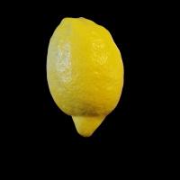 Lemon healthy vs unhealthy project thumbnail