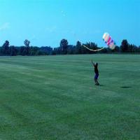 Find kites project thumbnail