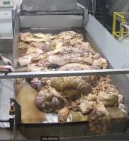 Find intestines 4 project thumbnail