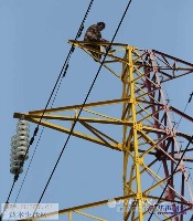 Powerline project thumbnail