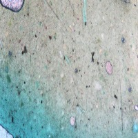 soil project thumbnail