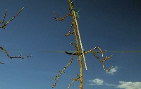 Frec2023 project thumbnail