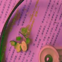 xiaobo project thumbnail