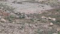 stone own project thumbnail
