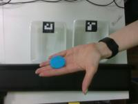 phd_lfd project thumbnail