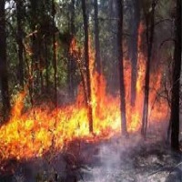 Fire project thumbnail