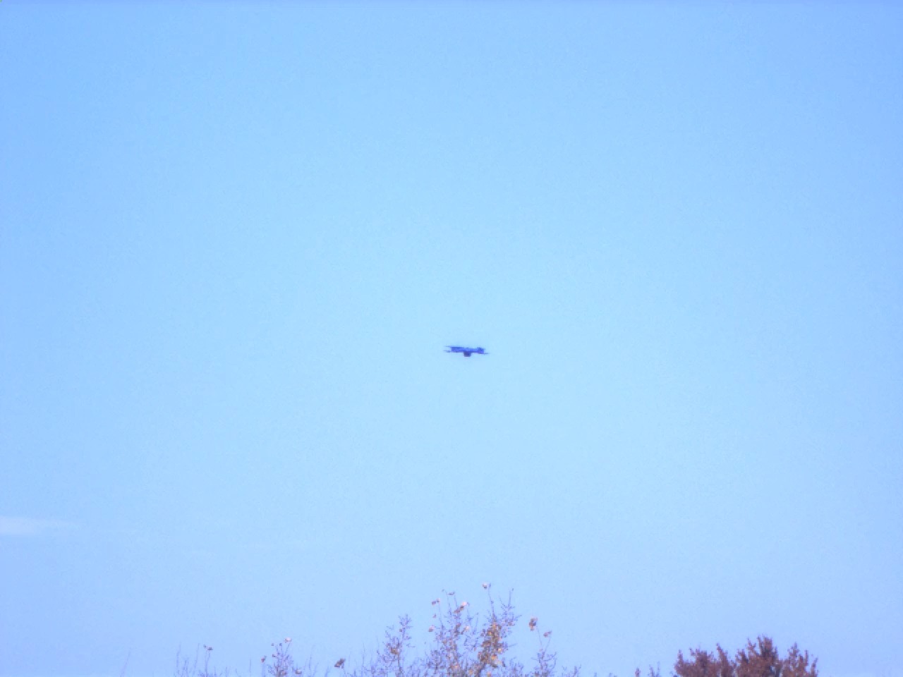 Drones Object Detection Dataset by Dronesrealvideo