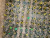 WaterLevelDetection project thumbnail