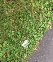 TACO_Waste_Dataset project thumbnail