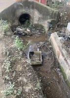 Find trash and waste project thumbnail