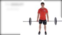 palestra project thumbnail