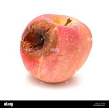 Rotten Apple Object Detection Dataset by SIGMA