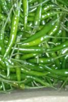 Chilli_Quality_Classification project thumbnail