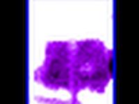 lv_bag_percent project thumbnail