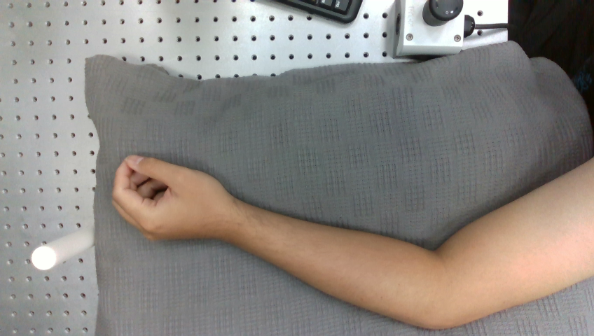 arm_segmentation_302 Object Detection Dataset by lejoulee