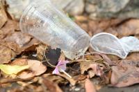 LitterDetection project thumbnail