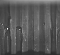 2-bubble-detection-img-100-13v project thumbnail