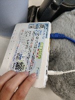 Dataset Image