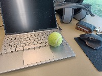 Dataset Image