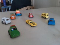 Dataset Image