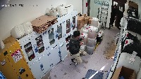 Dataset Image