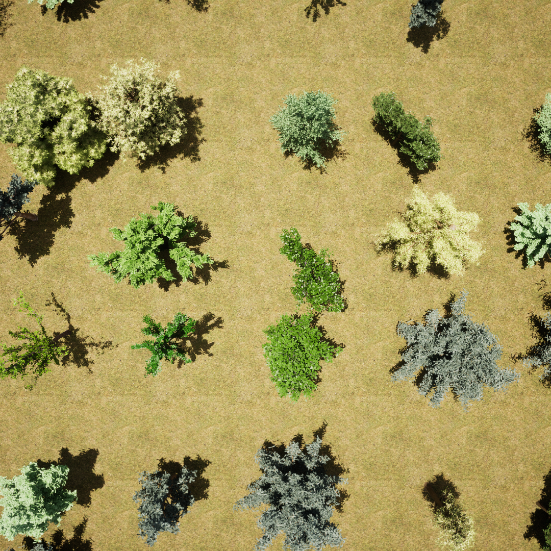 detecting trees with deepforest: a simple tutorial... forest tree recognition Object Detection Model by Yujimin