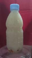330mL Plastic Bottle Detection project thumbnail