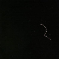 mpdet project thumbnail