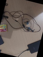 Dataset Image