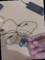 Dataset Image