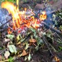Fire-Smoke-Detection-Yolov11 project thumbnail