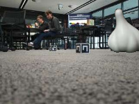 Dataset Image