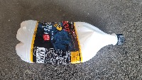 Dataset Image