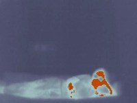 thermal project thumbnail
